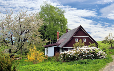 House Buyers Must Read: Quality Property Surveys are Worth the Investment